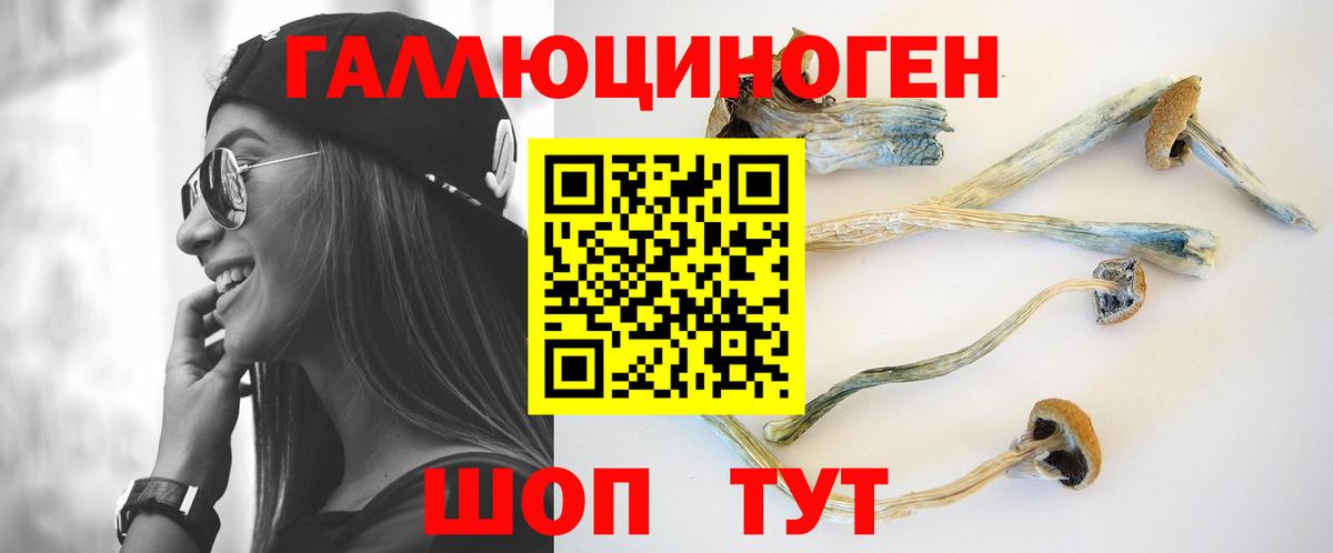 Подольск  Псилоцибиновые грибы Psilocybine cubensis  купить  сайты  Вход с VPN 